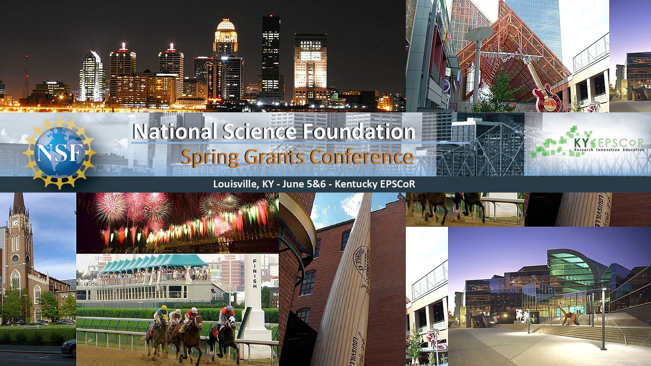 Spring 2017 NSF Grants Conference – The NL3 Wang Lab