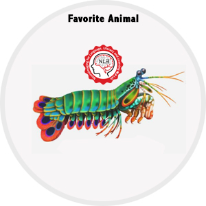 Mantis Shrimp